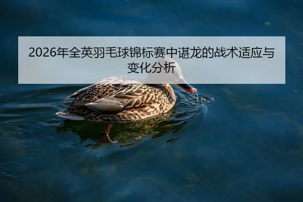 nian-quan-ying-yu-mao-qiu-jin-biao-sai-zhong-chen-long-de-zhan-shu-shi-ying-yu-bian-hua-fen-xi-2-701.jpg