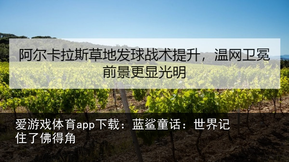 爱游戏体育app下载：蓝鲨童话：世界记住了佛得角