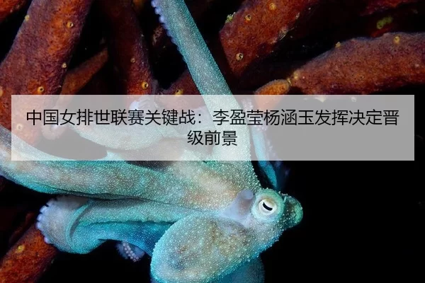 zhong-guo-nv-pai-shi-lian-sai-guan-jian-zhan-li-ying-ying-yang-han-yu-fa-hui-jue-ding-jin-ji-qian-jing-2-257.jpg
