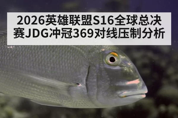 2026英雄联盟S16全球总决赛JDG冲冠369对线压制分析